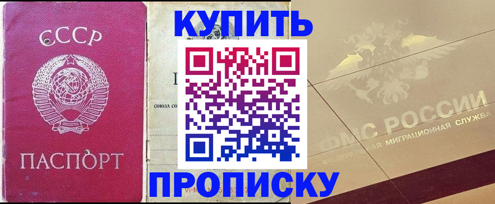 прописка для школы в Данилове